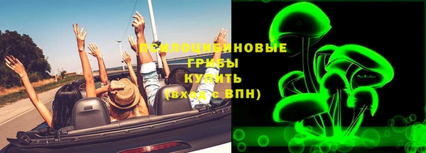 не бодяженный Алексин