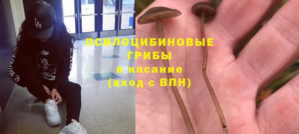 крисы Алексеевка