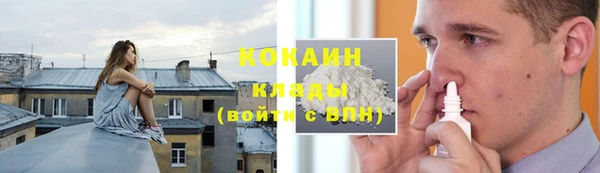 дживик Алзамай