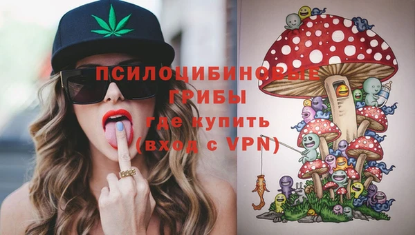 дживик Алзамай